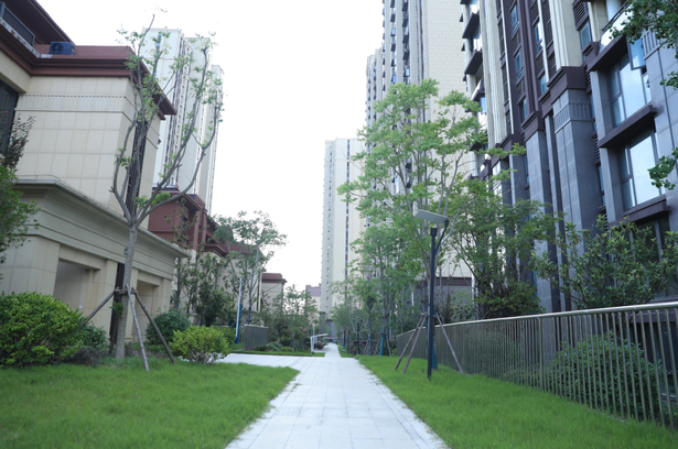 20250701縣領導現場推進“一地三用”等項目建設4.png