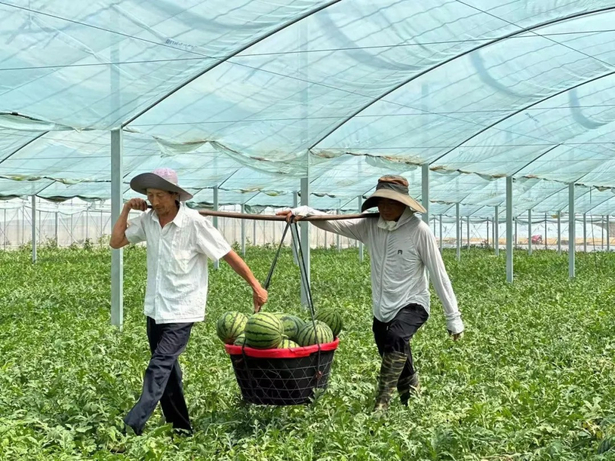 2025“果香穆店”品牌推介暨古驛馬湖葡萄采摘季在穆店鎮舉行1.jpg